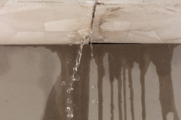 Professional Structural Drying technician working in Norwood, NC